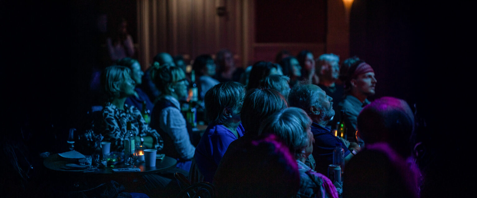 What is picnic theatre?